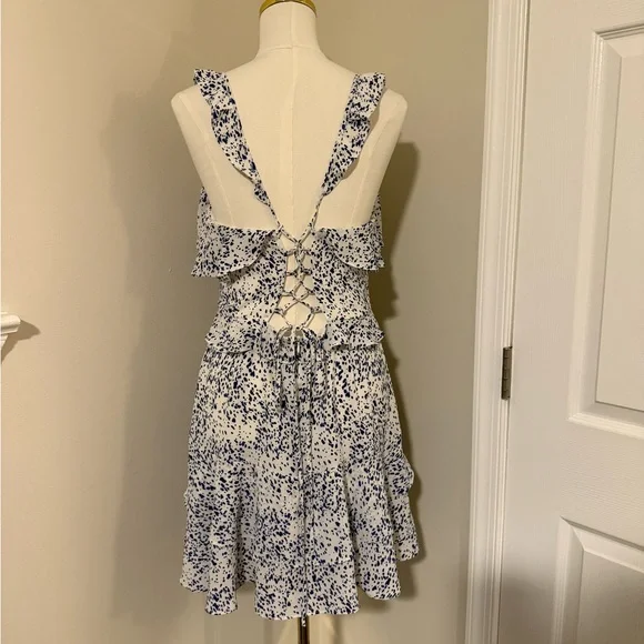 Buddy Love Blue and White Ruffle Dress - Picture 2 of 8